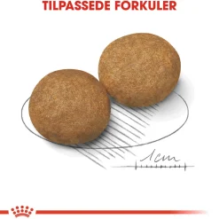 Royal Canin Koiran Kuivaruoka*Medium Adult 2 x 15 kg