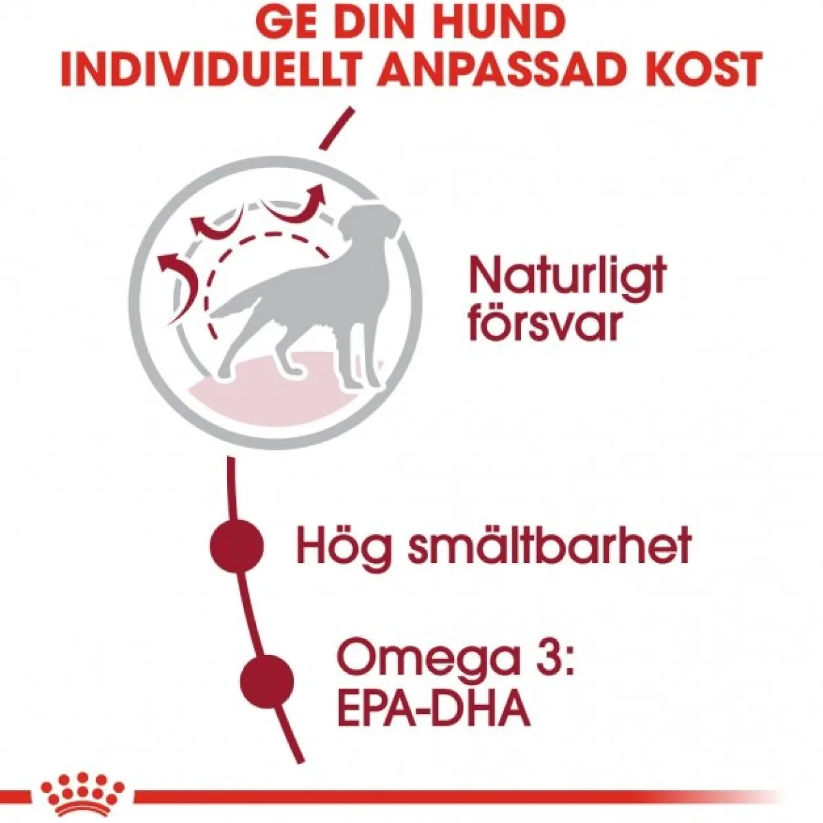 Royal Canin Koiran Kuivaruoka*Medium Adult 2 x 15 kg