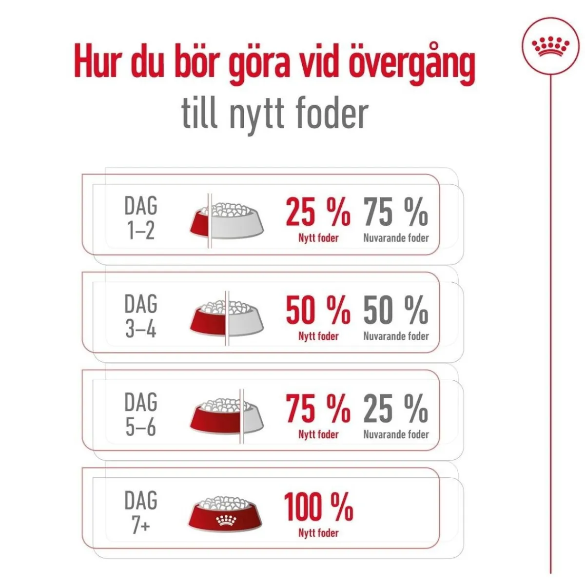 Royal Canin Koiran Kuivaruoka*Medium Adult 2 x 15 kg