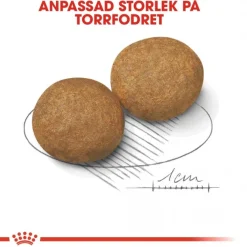 Royal Canin Koiran Kuivaruoka*Medium Adult 2 x 15 kg