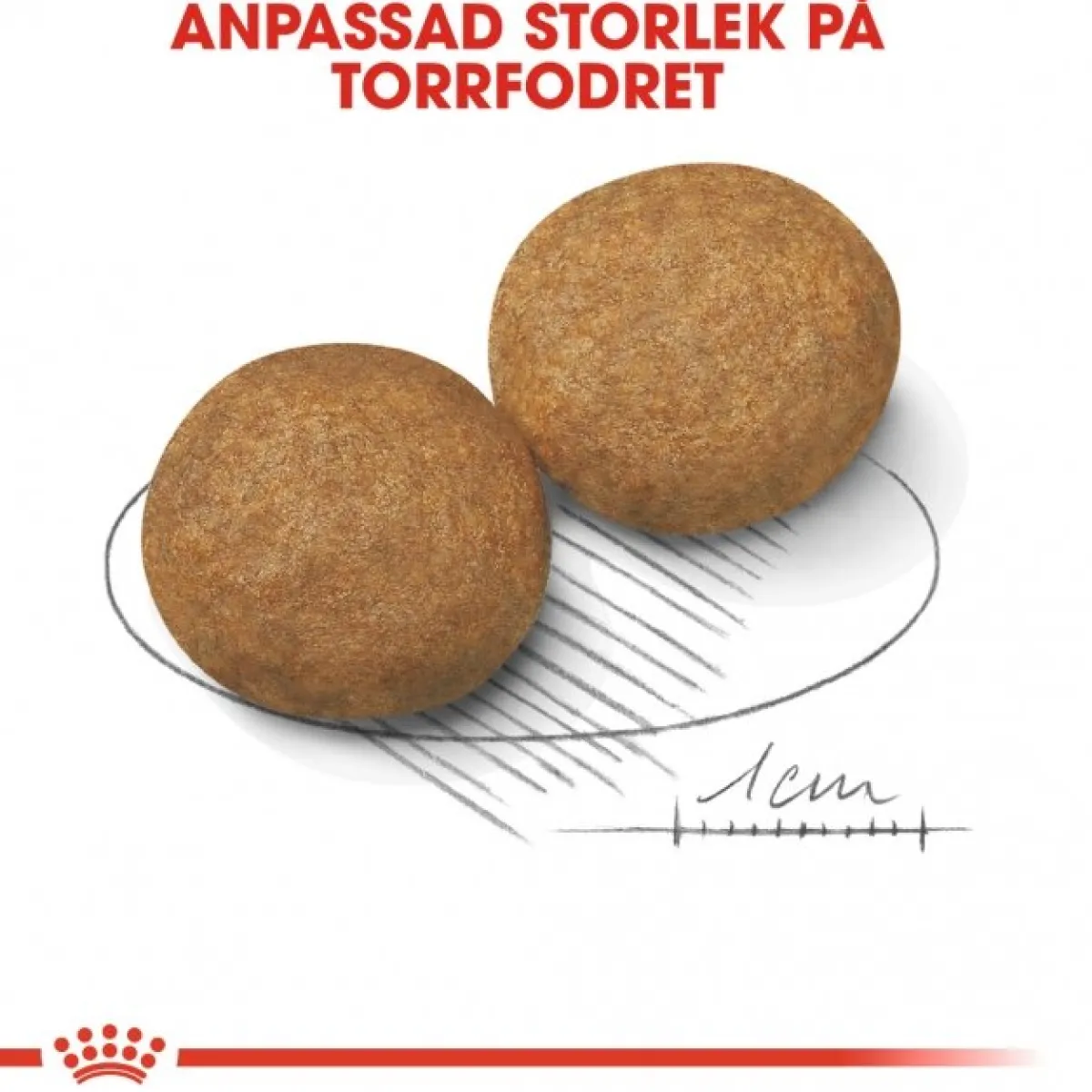 Royal Canin Koiran Kuivaruoka*Medium Adult 2 x 15 kg