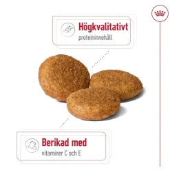 Royal Canin Koiran Kuivaruoka*Medium Adult 2 x 15 kg