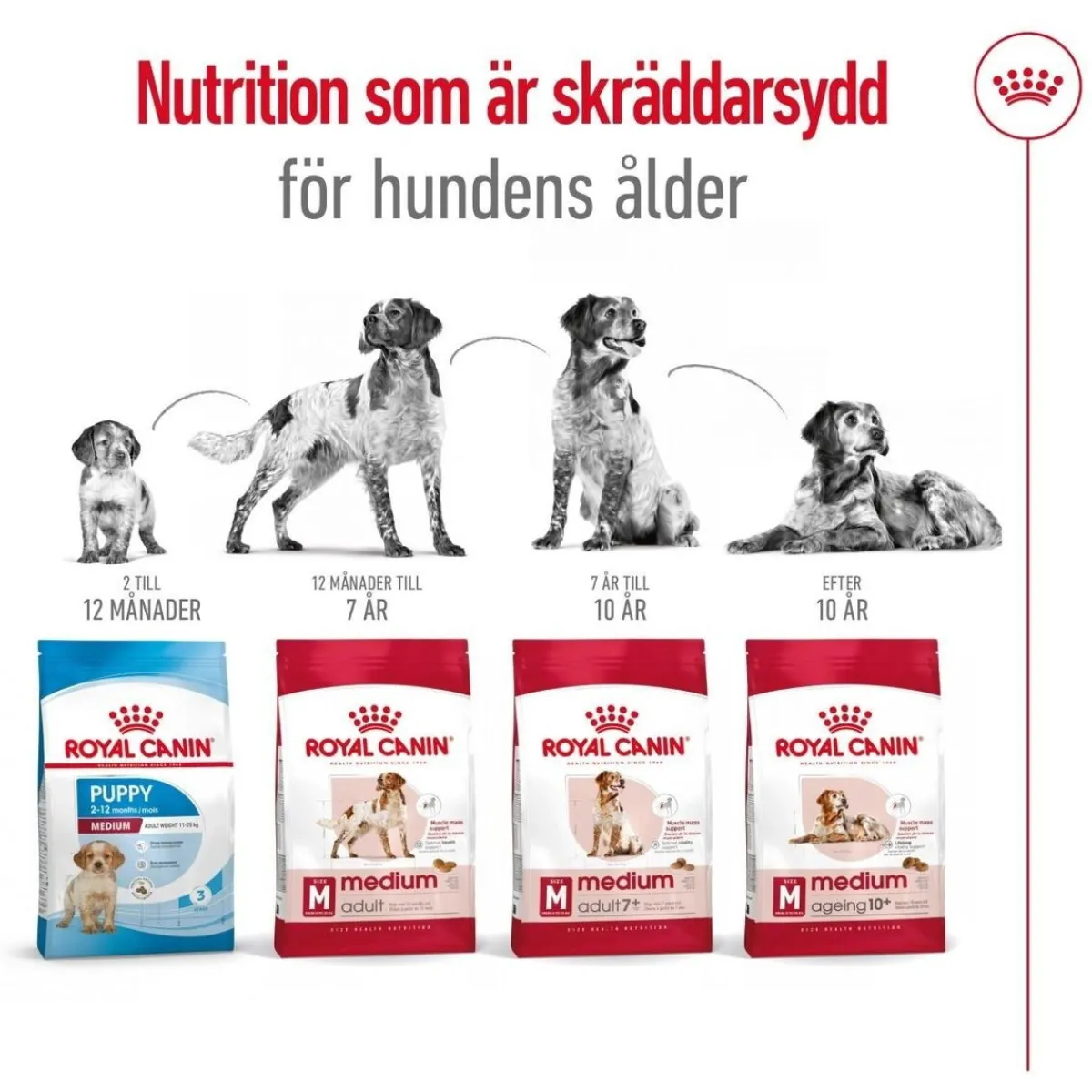 Royal Canin Koiran Kuivaruoka*Medium Adult 2 x 15 kg