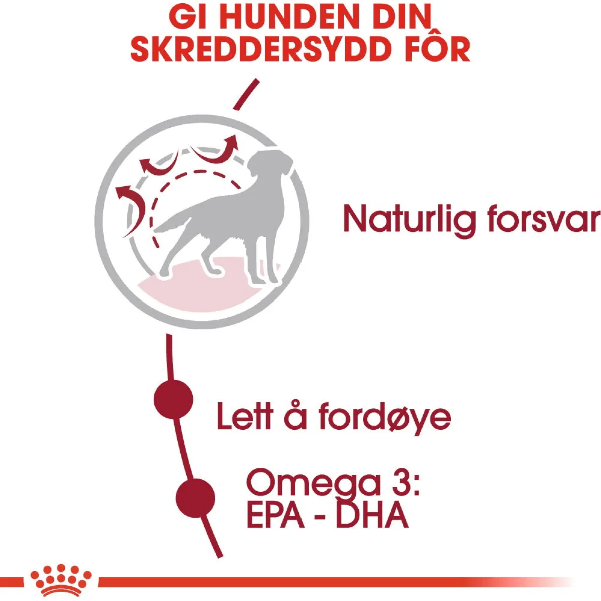 Royal Canin Koiran Kuivaruoka*Medium Adult 2 x 15 kg