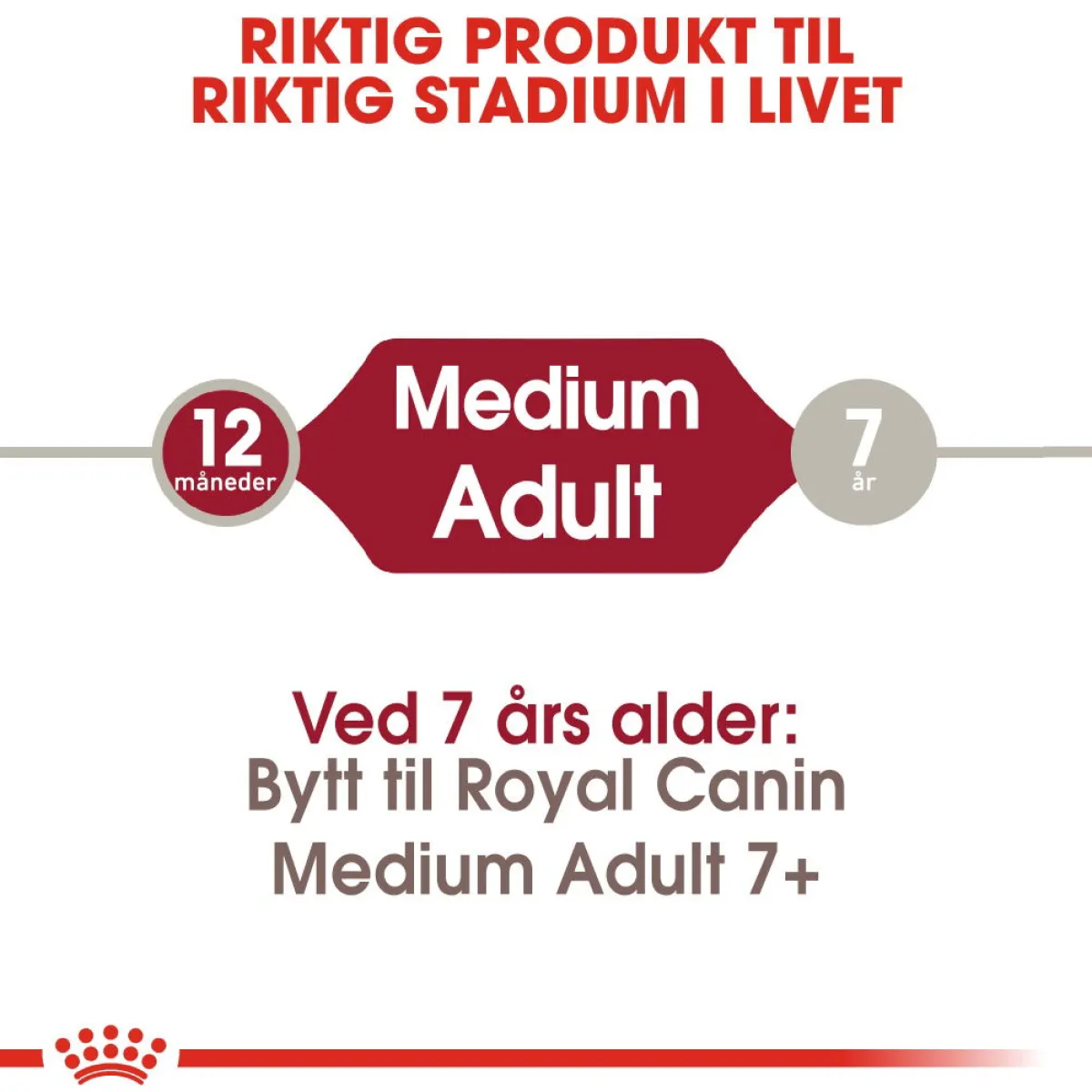Royal Canin Koiran Kuivaruoka*Medium Adult 2 x 15 kg