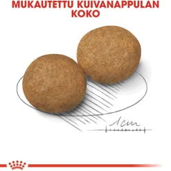 Royal Canin Koiran Kuivaruoka*Medium Adult 2 x 15 kg