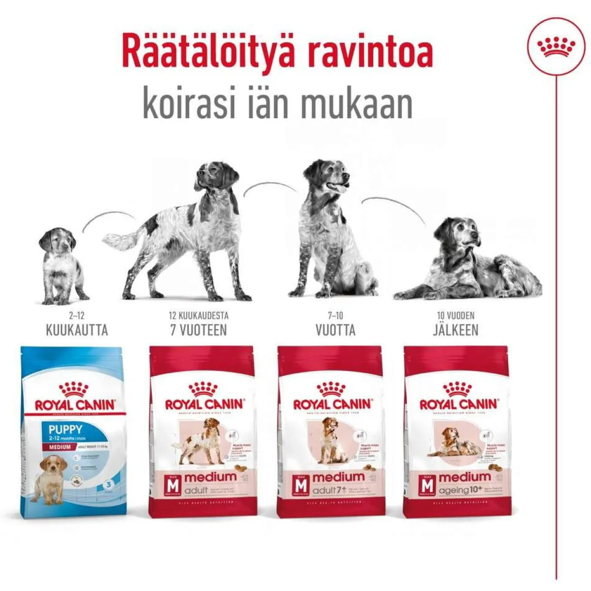 Royal Canin Koiran Kuivaruoka*Medium Adult 2 x 15 kg