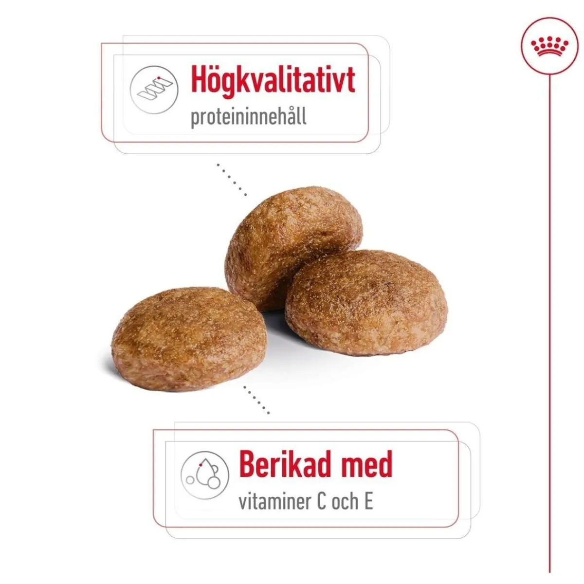 Royal Canin Koiran Kuivaruoka*Medium Adult 7+ 2 x 15kg