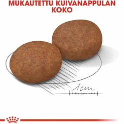 Royal Canin Koiran Kuivaruoka*Medium Adult 7+ 2 x 15kg
