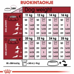 Royal Canin Koiran Kuivaruoka*Medium Adult 7+ 2 x 15kg