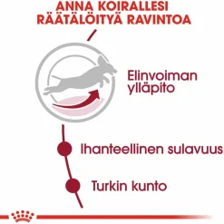 Royal Canin Koiran Kuivaruoka*Medium Adult 7+ 2 x 15kg