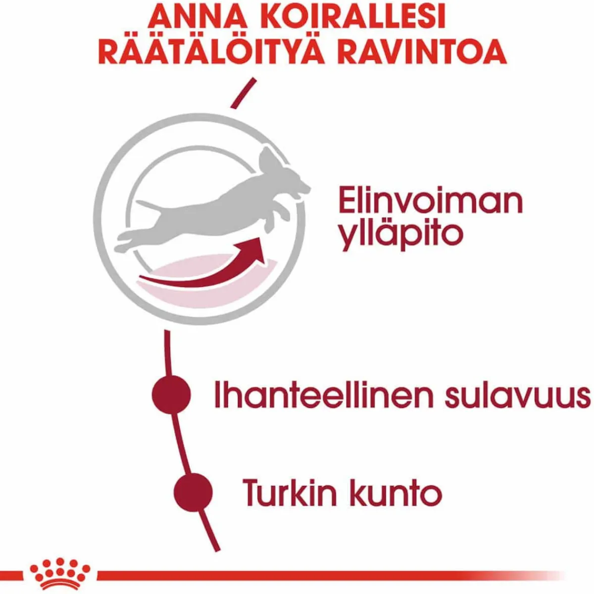 Royal Canin Koiran Kuivaruoka*Medium Adult 7+ 2 x 15kg