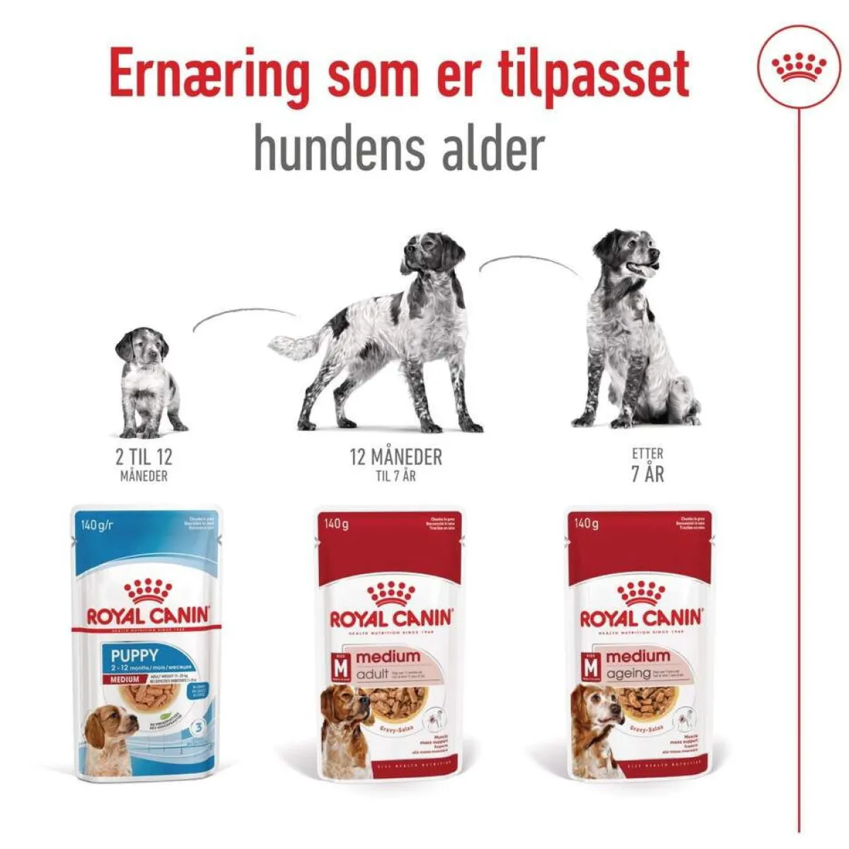 Royal Canin Koiran Märkäruoka Ja Makkarat|Senioriruoka*Medium Ageing Wet 10 x 140 g