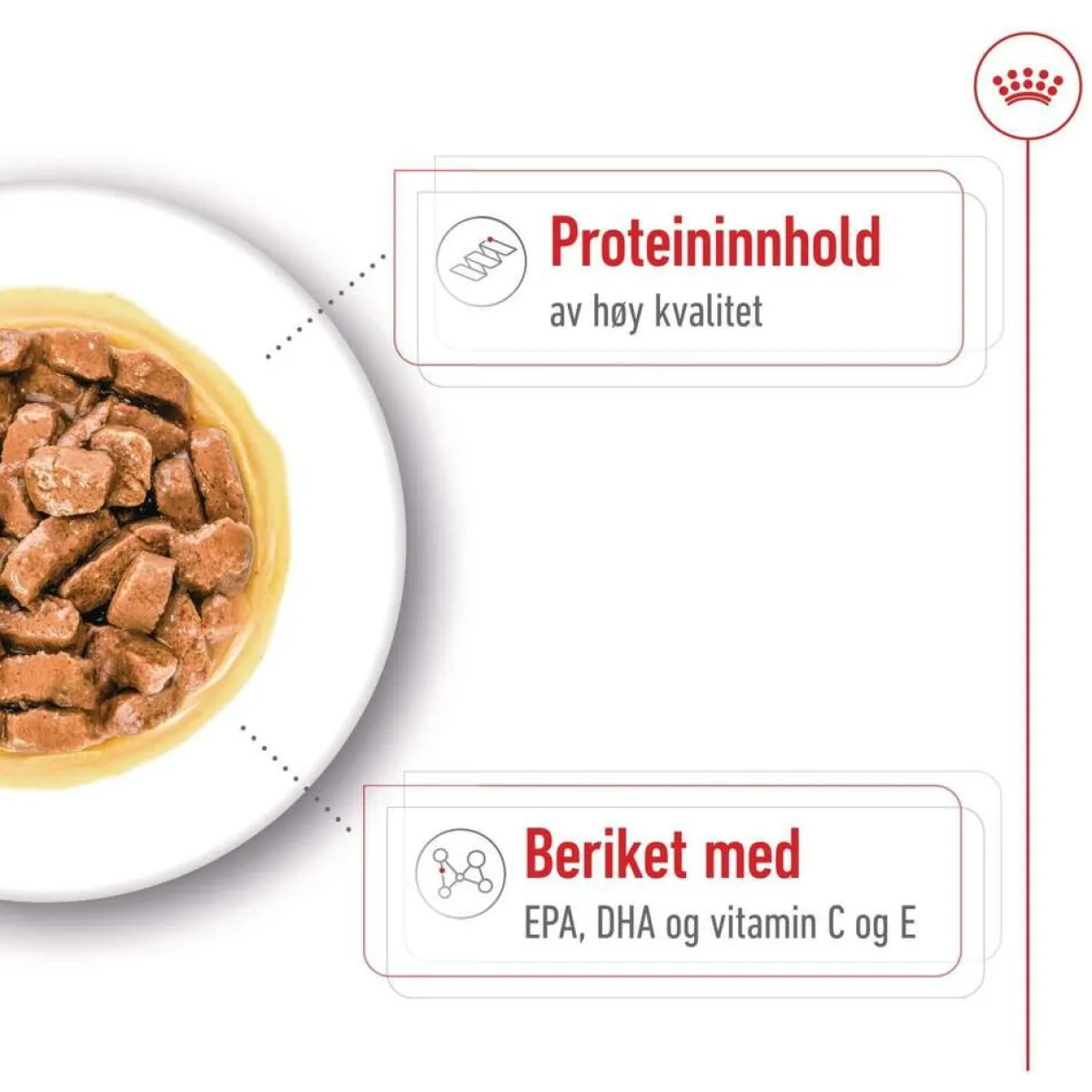 Royal Canin Koiran Märkäruoka Ja Makkarat|Senioriruoka*Medium Ageing Wet 10 x 140 g