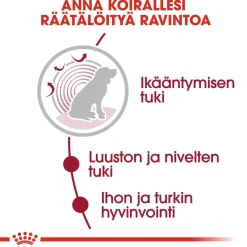 Royal Canin Koiran Märkäruoka Ja Makkarat|Senioriruoka*Medium Ageing Wet 10 x 140 g