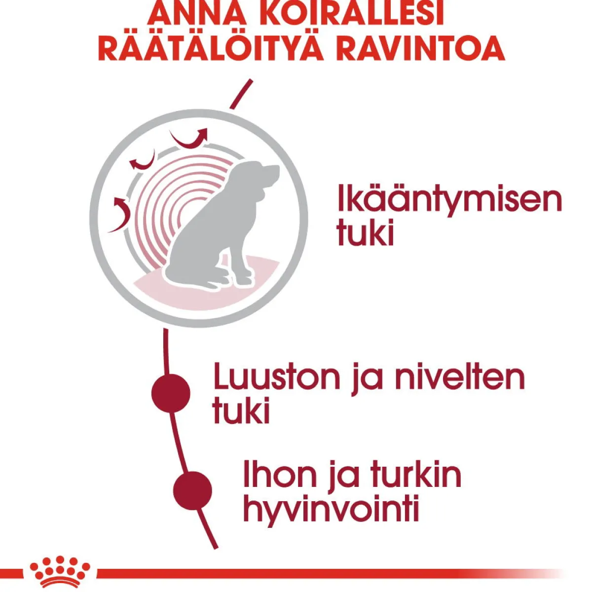 Royal Canin Koiran Märkäruoka Ja Makkarat|Senioriruoka*Medium Ageing Wet 10 x 140 g