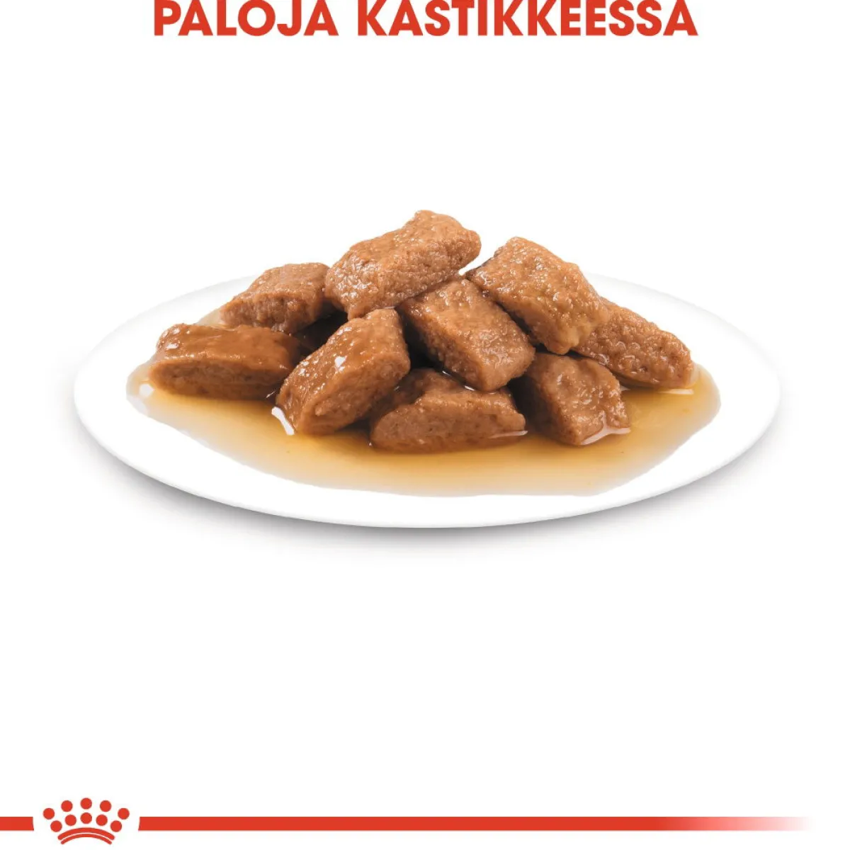 Royal Canin Koiran Märkäruoka Ja Makkarat|Senioriruoka*Medium Ageing Wet 10 x 140 g