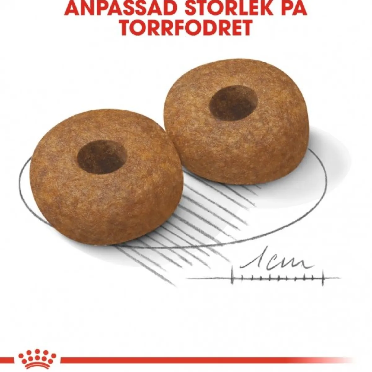 Royal Canin Koiran Kuivaruoka*Medium Ageing 10+ 2 x 15kg