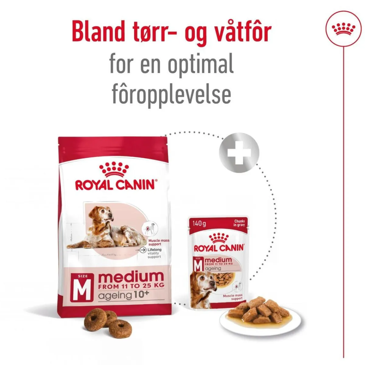 Royal Canin Koiran Kuivaruoka*Medium Ageing 10+ 2 x 15kg