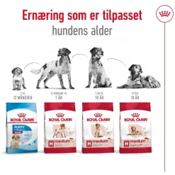 Royal Canin Koiran Kuivaruoka*Medium Ageing 10+ 2 x 15kg