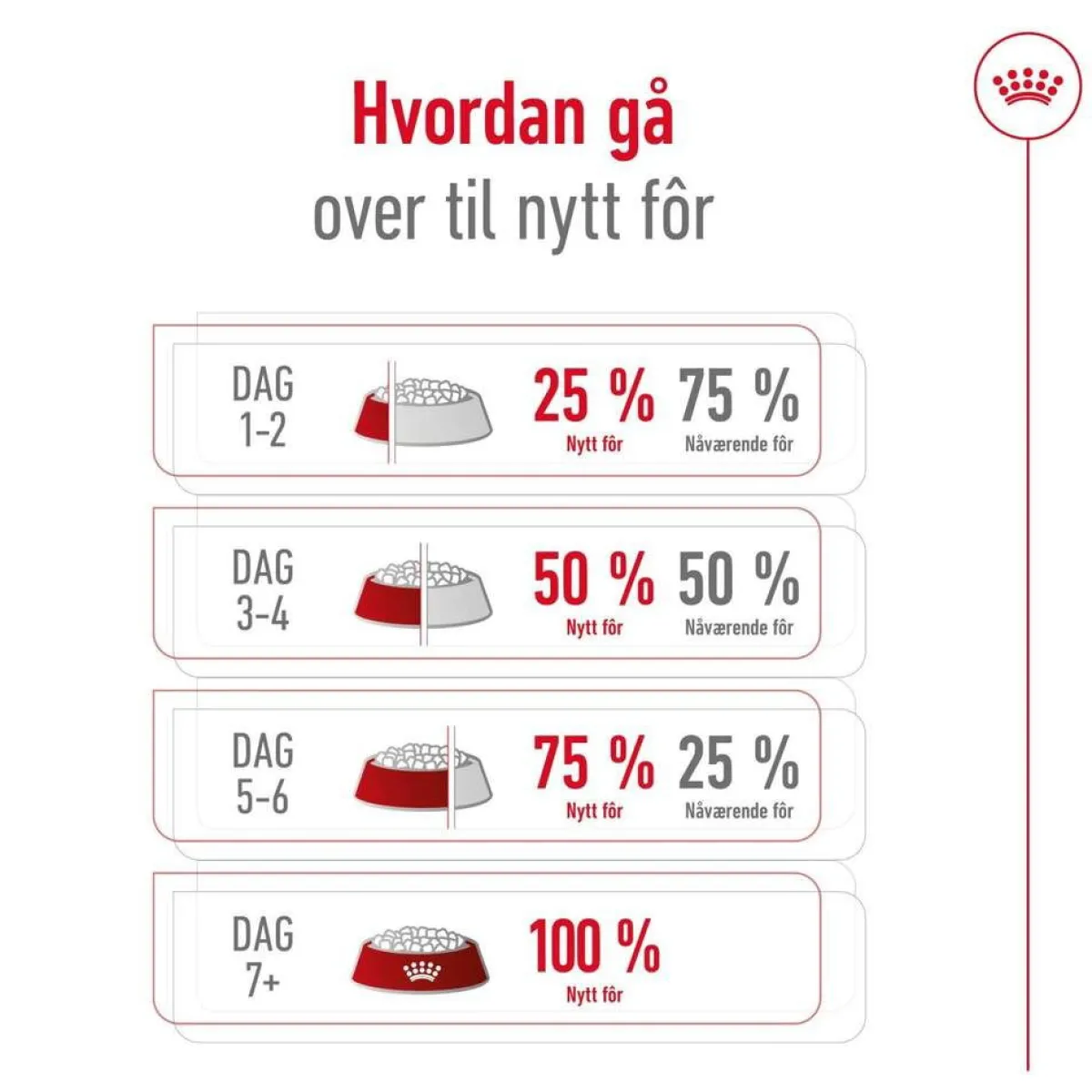 Royal Canin Koiran Kuivaruoka*Medium Ageing 10+ 2 x 15kg