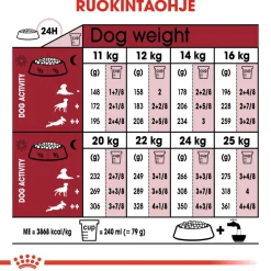 Royal Canin Koiran Kuivaruoka*Medium Ageing 10+ 2 x 15kg