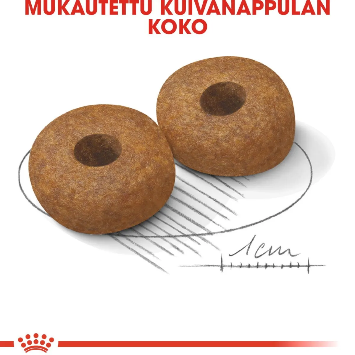 Royal Canin Koiran Kuivaruoka*Medium Ageing 10+ 2 x 15kg