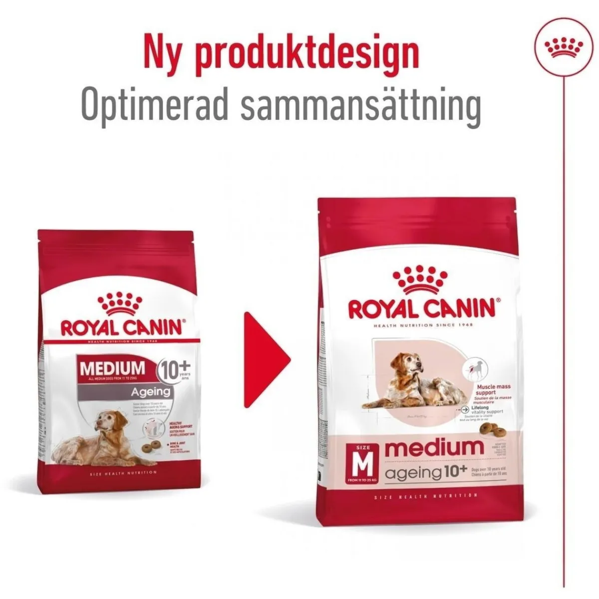Royal Canin Koiran Kuivaruoka*Medium Ageing 10+ 2 x 15kg
