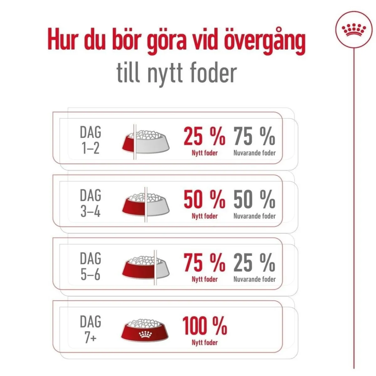 Royal Canin Koiran Kuivaruoka*Medium Ageing 10+ 2 x 15kg