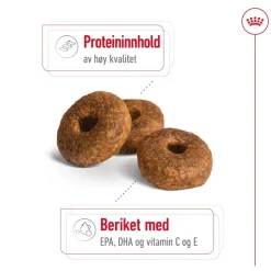 Royal Canin Koiran Kuivaruoka*Medium Ageing 10+ 2 x 15kg