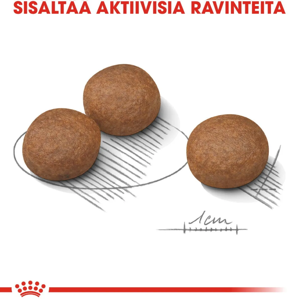 Royal Canin Koiran Kuivaruoka*Medium Digestive Care