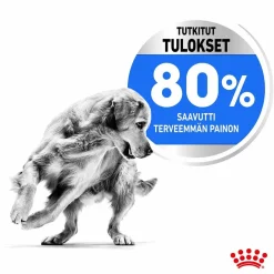 Royal Canin Koiranruoat Erityistapeisiin|Koiran Kuivaruoka*Medium Light Weight Care