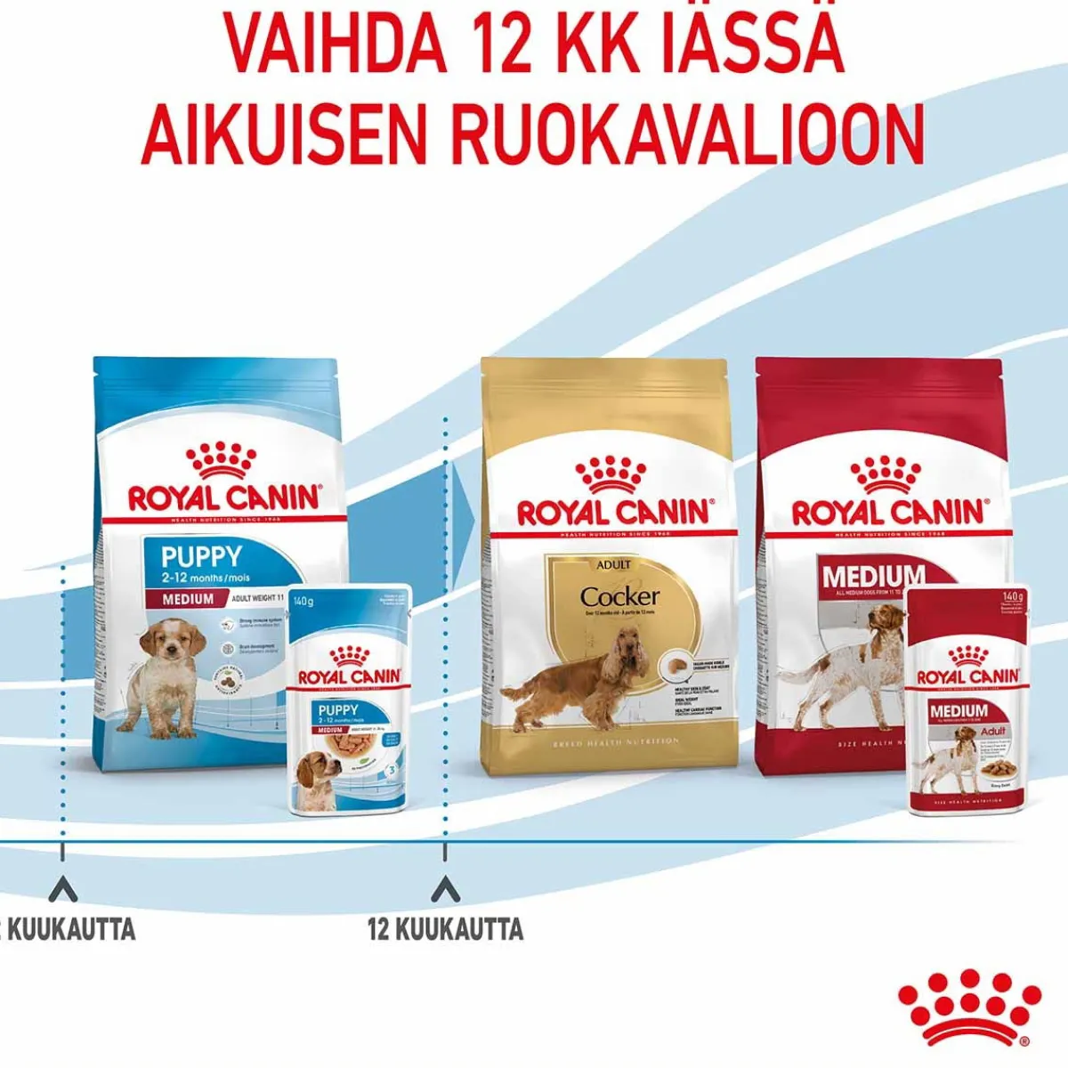 Royal Canin Penturuoka|Penturuoka*Medium Puppy Wet 10x140g