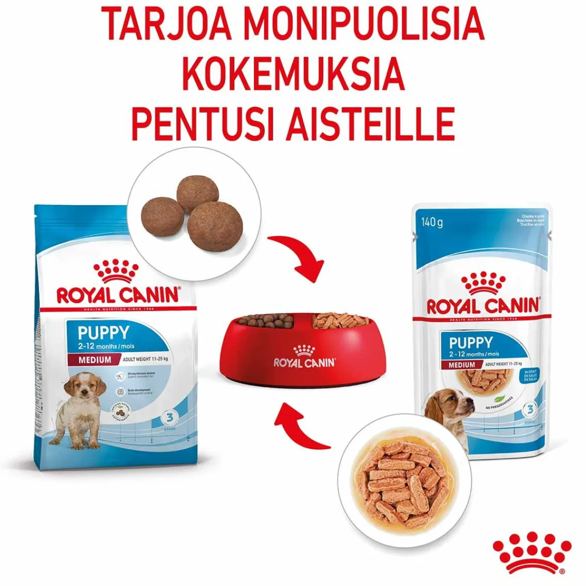 Royal Canin Penturuoka|Penturuoka*Medium Puppy Wet 10x140g