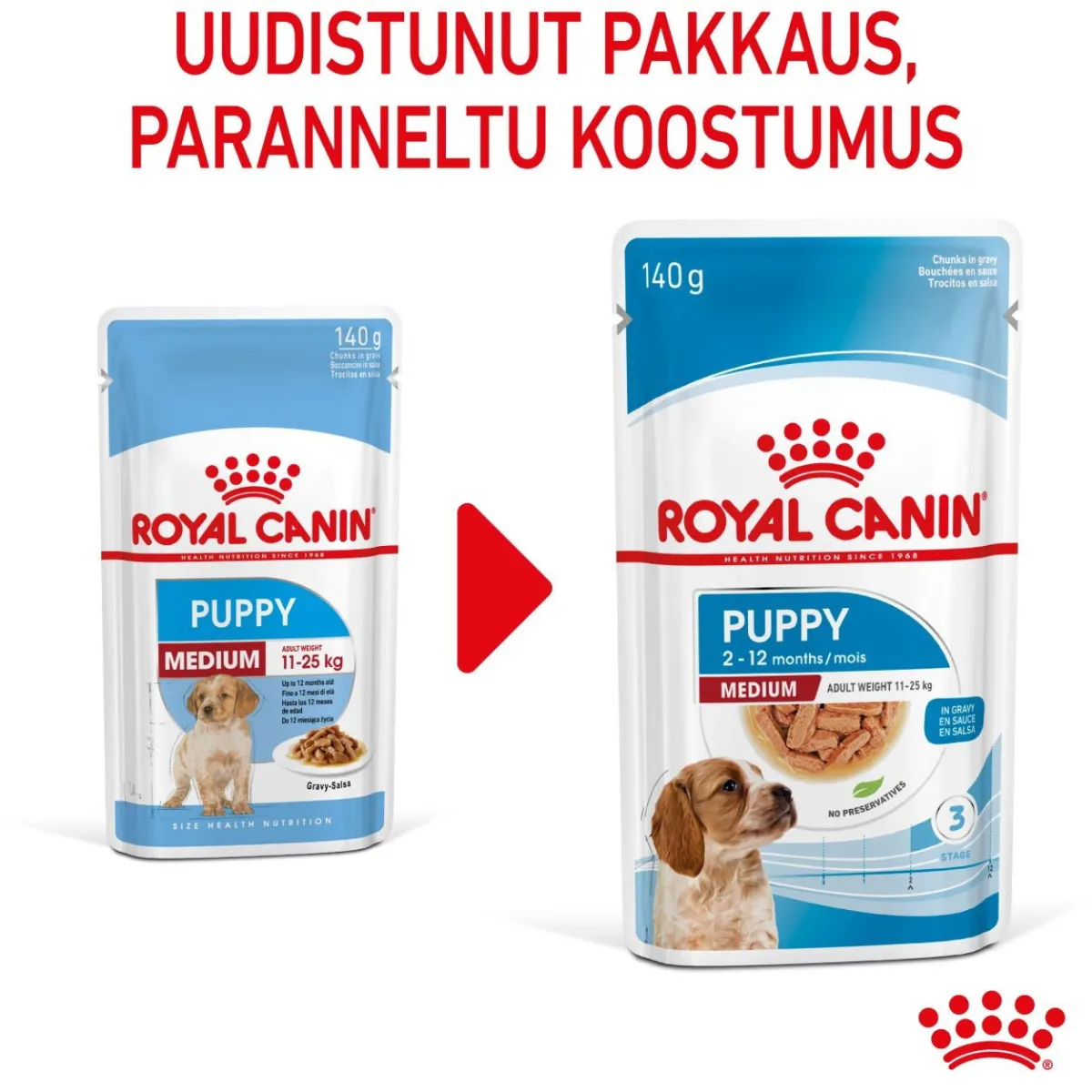 Royal Canin Penturuoka|Penturuoka*Medium Puppy Wet 10x140g