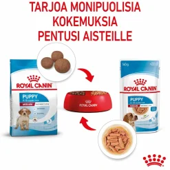 Royal Canin Penturuoka|Penturuoka*Medium Puppy 40x140 g