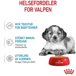 Royal Canin Penturuoka|Penturuoka*Medium Puppy 40x140 g