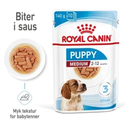 Royal Canin Penturuoka|Penturuoka*Medium Puppy 40x140 g