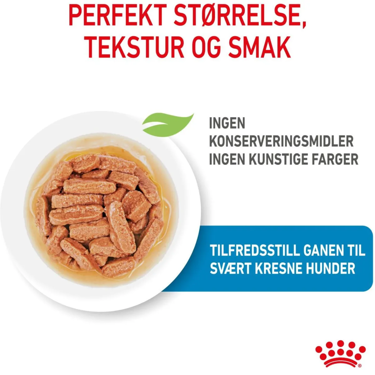 Royal Canin Penturuoka|Penturuoka*Medium Puppy 40x140 g