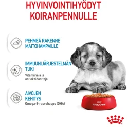 Royal Canin Penturuoka|Penturuoka*Medium Puppy 40x140 g