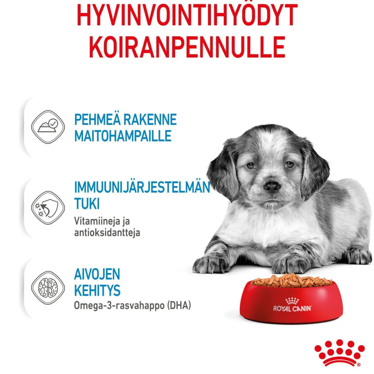 Royal Canin Penturuoka|Penturuoka*Medium Puppy 40x140 g