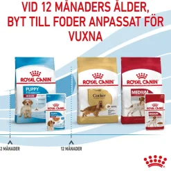 Royal Canin Penturuoka|Penturuoka*Medium Puppy 40x140 g