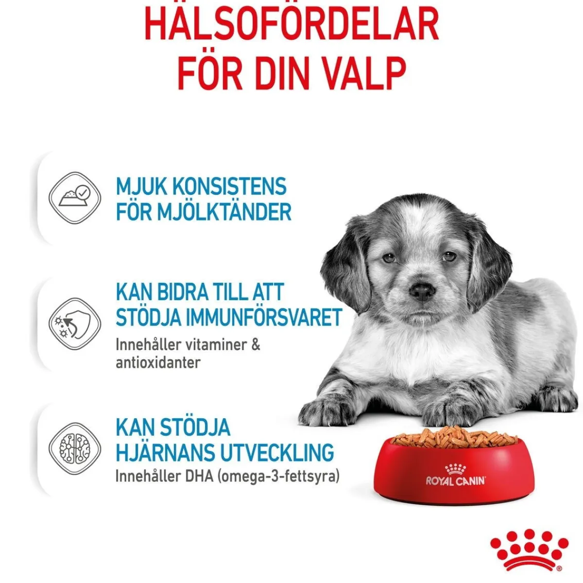 Royal Canin Penturuoka|Penturuoka*Medium Puppy 40x140 g