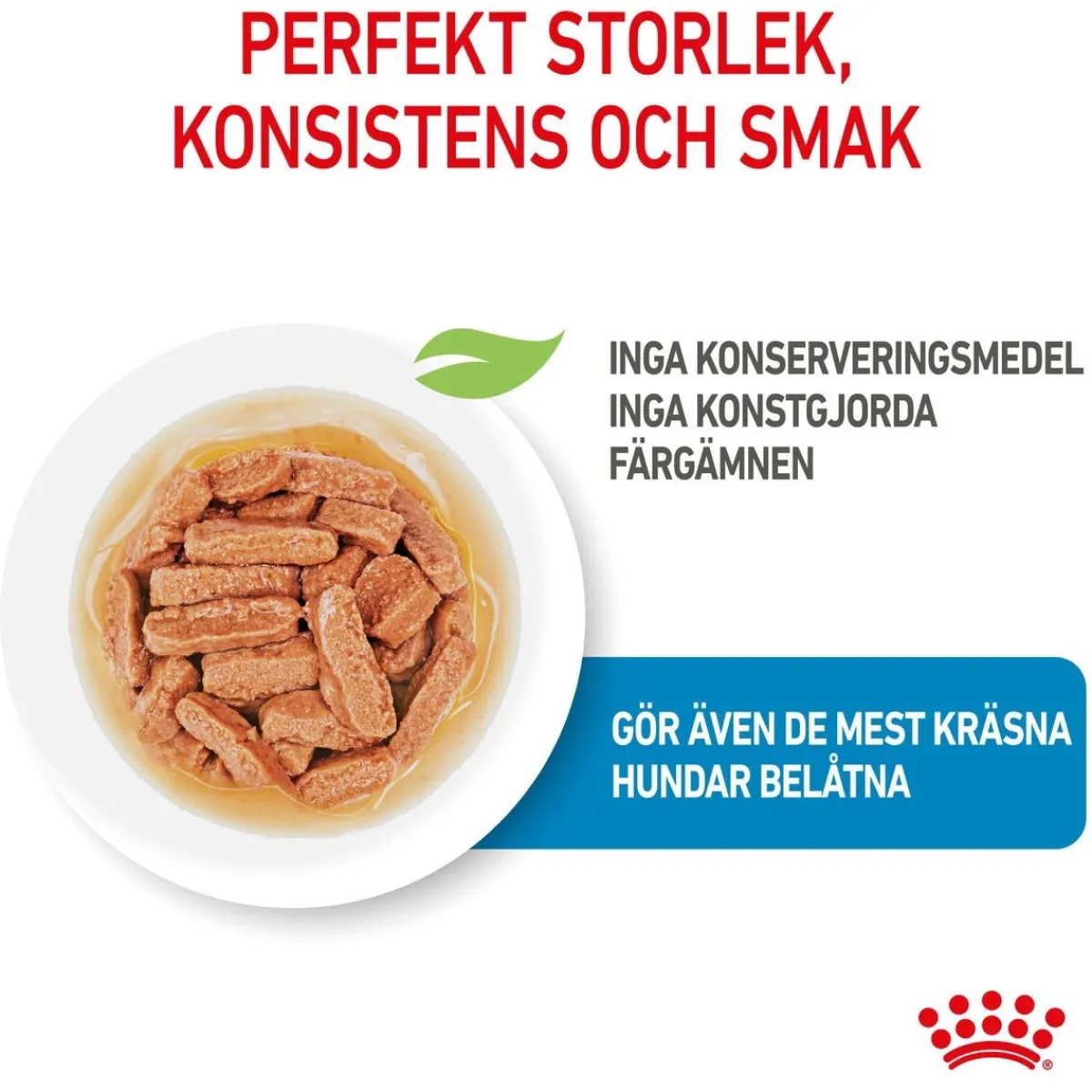 Royal Canin Penturuoka|Penturuoka*Medium Puppy 40x140 g
