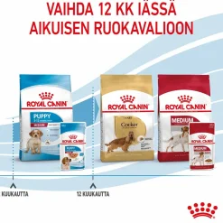 Royal Canin Penturuoka|Penturuoka*Medium Puppy 40x140 g