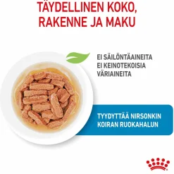 Royal Canin Penturuoka|Penturuoka*Medium Puppy 40x140 g