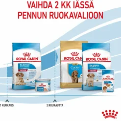 Royal Canin Penturuoka|Koiran Kuivaruoka*Medium Starter