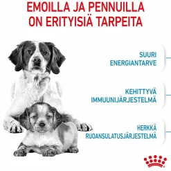 Royal Canin Penturuoka|Koiran Kuivaruoka*Medium Starter