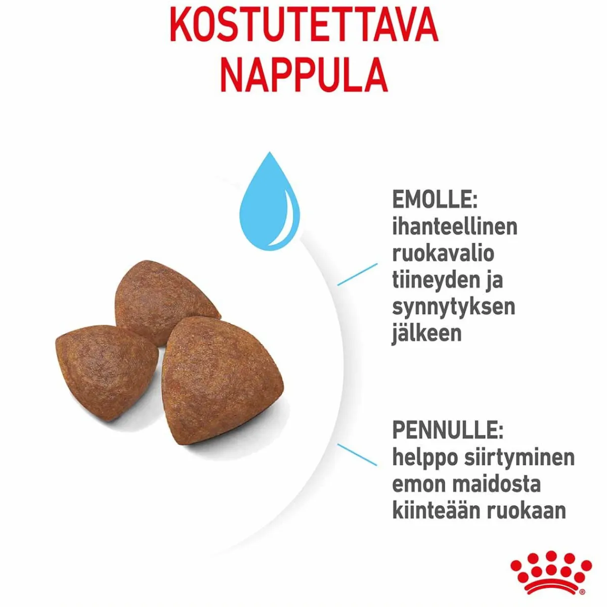 Royal Canin Penturuoka|Koiran Kuivaruoka*Medium Starter