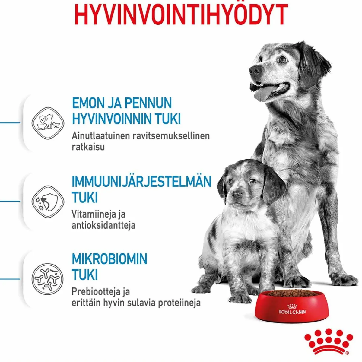 Royal Canin Penturuoka|Koiran Kuivaruoka*Medium Starter